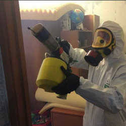 Уничтожение клопов в квартире. Павловский Посад
